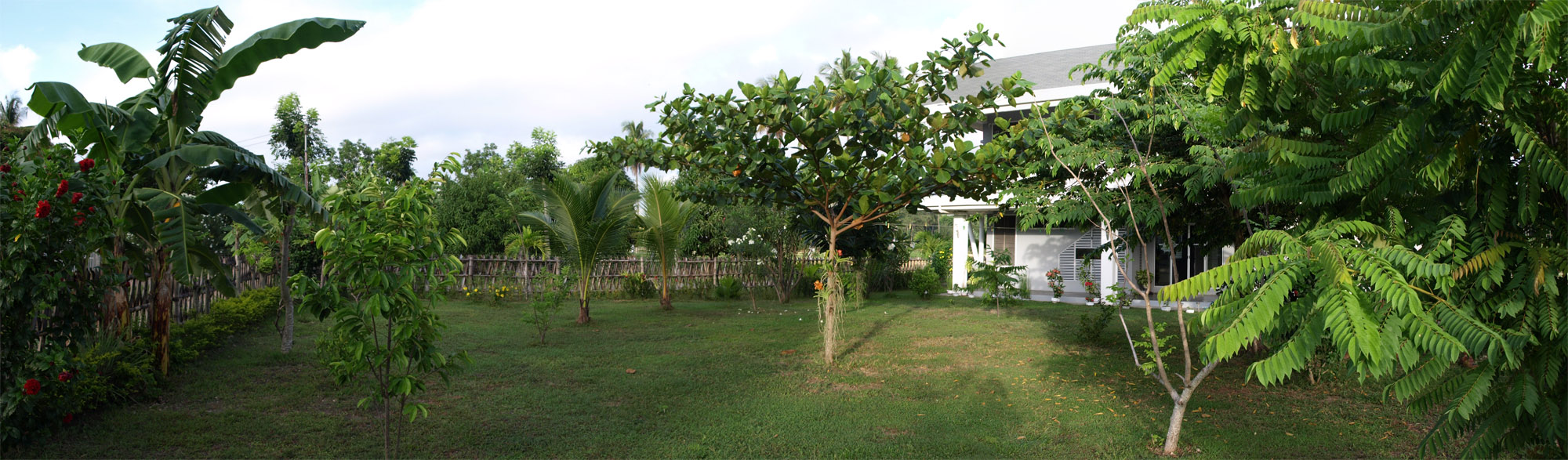 Panorama view of Argao house Cebu of garden